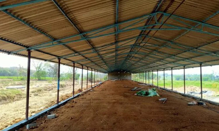 Poultry Shed